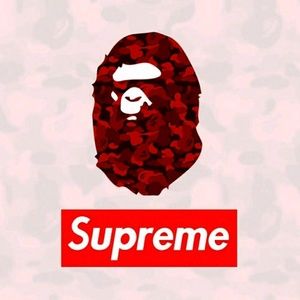 Meet your Posher, Diego